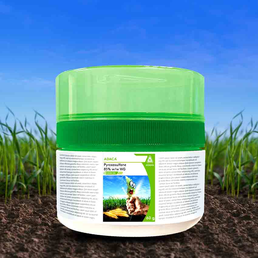 Adama ADACA herbicide product packaging, featuring the logo, product name, and key information, displayed on a patch of soil with a green field background. Design created by Greysell.