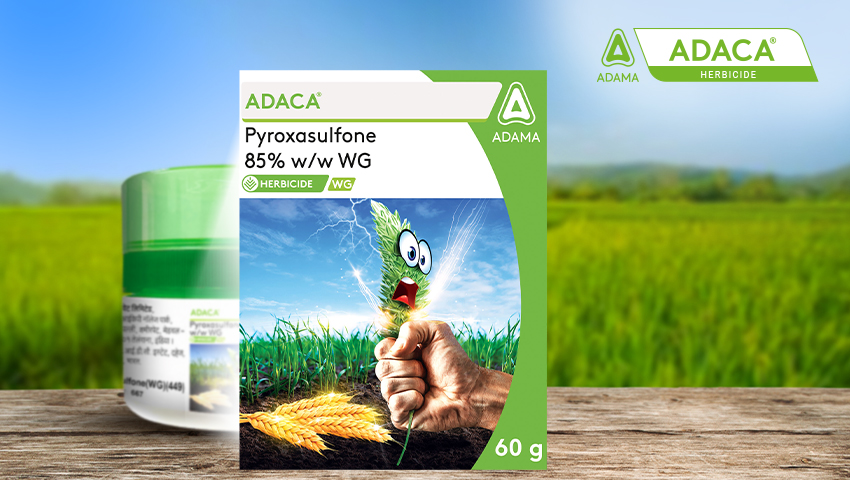 The Adaca Herbicide ad, created by Greysell, highlights the product packaging with a playful illustration of a weed being controlled.