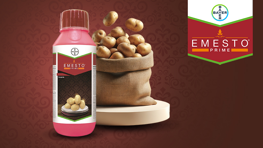 The Emesto Prime ad, created by Greysell, highlights the product packaging with a visual of potatoes, conveying its use in protecting potato crops.