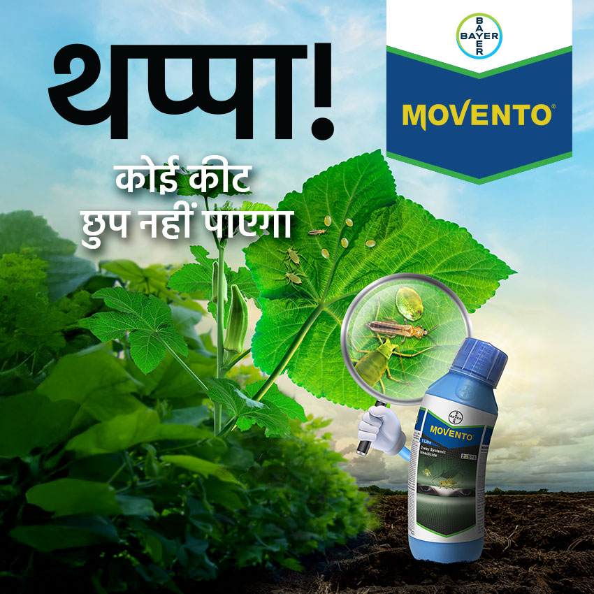 Image promoting Bayer Movento insecticide, featuring the product bottle, tagline in Hindi, and imagery of okra plants with pests, and a magnifying glass. Design created by Greysell.