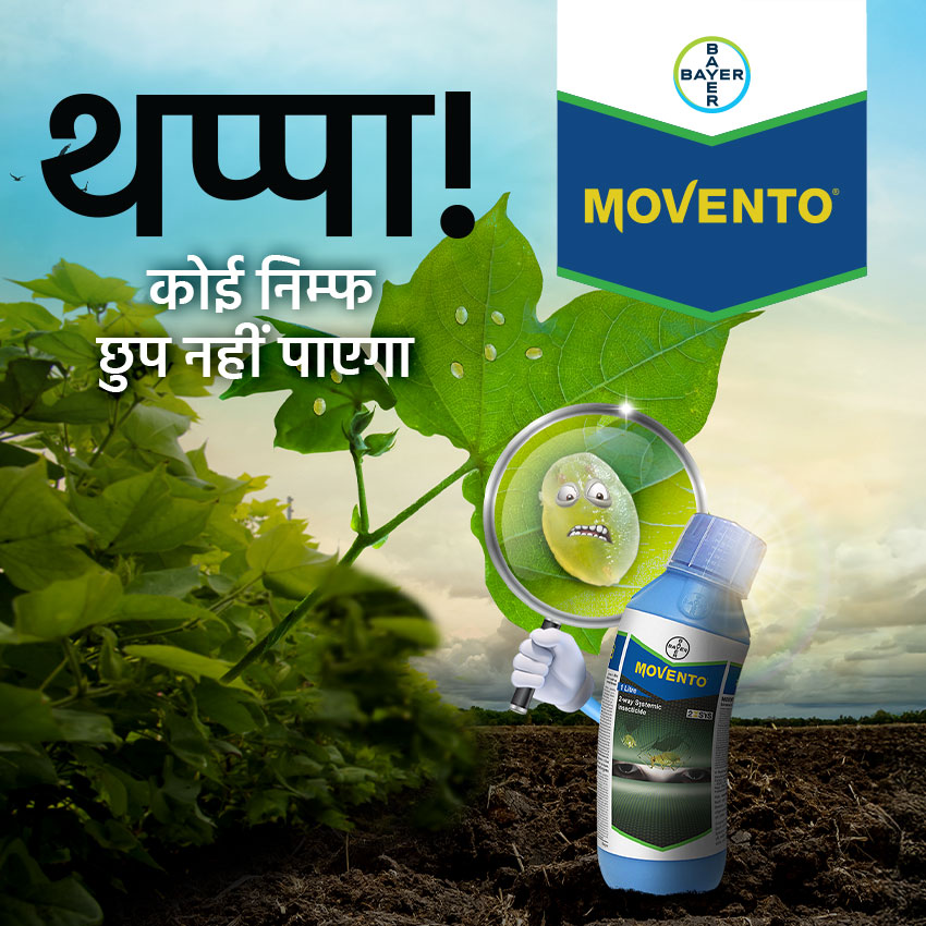 Image promoting Bayer Movento insecticide, featuring the product bottle, tagline in Hindi, and imagery of cotton plants with pests, and a magnifying glass. Design created by Greysell.