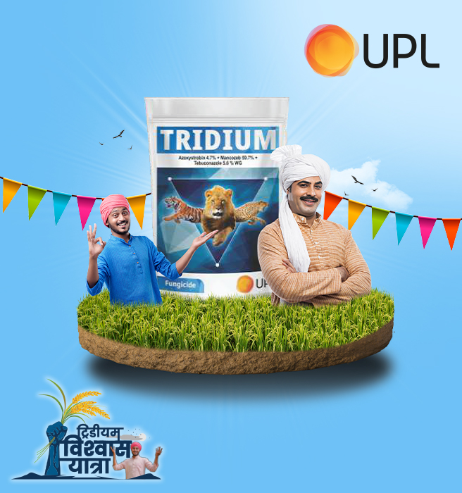 The Tridium Fungicide ad, created by Greysell, showcases the product with its key ingredients (Azoxystrobin and Mancozeb) and Hindi text emphasizing its effectiveness.